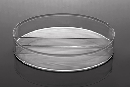 100 x 15 mm Petri Dish, I-Plate (2-Section), Stackable Petri Dish, Polished Polystyrene, RNase and DNase Free, Sterile 