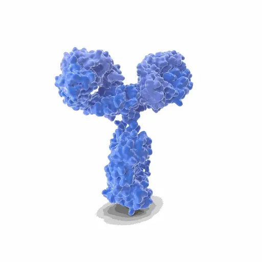[GEN-ANTI-07] Gentaur Rat (11.23.22r) APC Mab Antibody